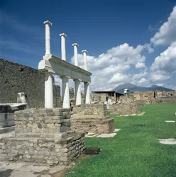 Het Forum
